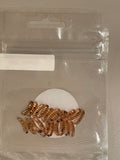 Pumpkin seed